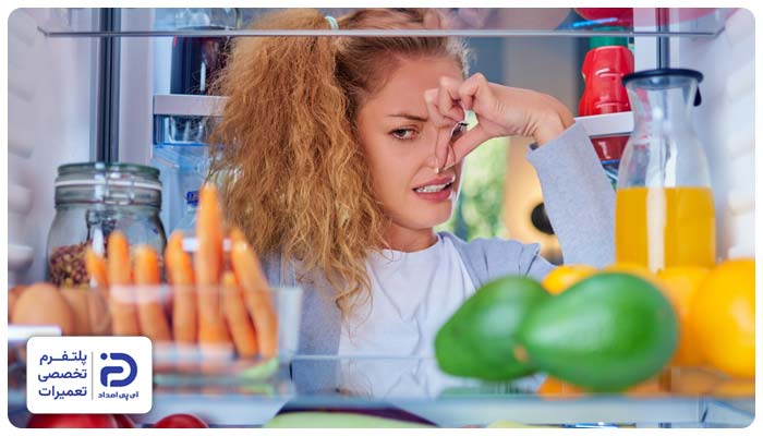 بوی بد یخچال فریزر بکو