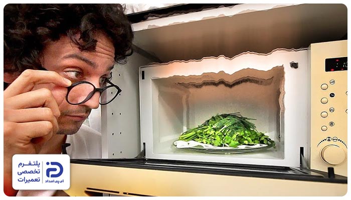 خشک کردن سبزی در مایکروفر