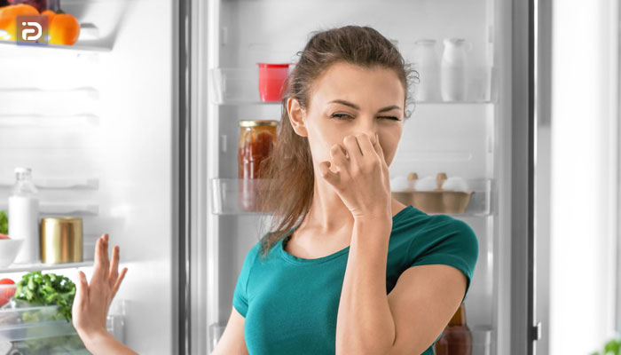 رفع مشکل بوی بد در یخچال پروفایل