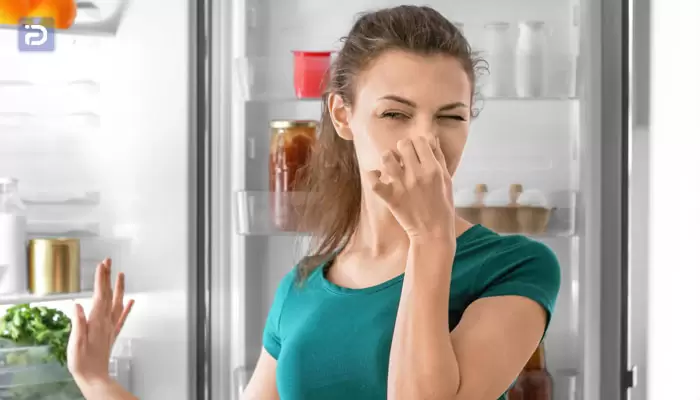عیب یابی مشکل بوی بد در یخچال مدیا با تعمیرکار آی پی امداد