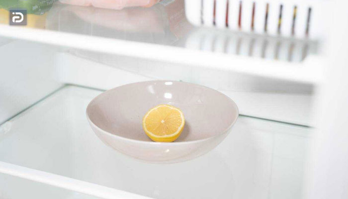 از بین بردن بوی بد یخچال با لیمو