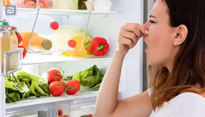 رفع بوی بد یخچال فریزر با مواد طبیعی در خانه