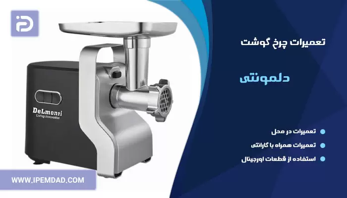تعمیر چرخ گوشت دلمونتی