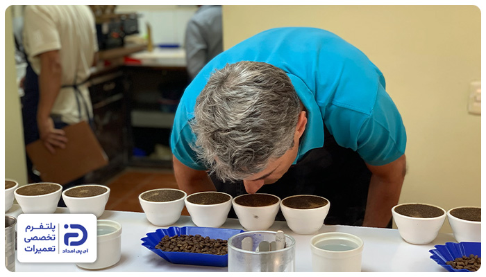 طعم و مشخصات دانه سبز قهوه