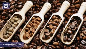 معرفی انواع دانه قهوه