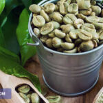 راهنمای خرید دانه سبز قهوه