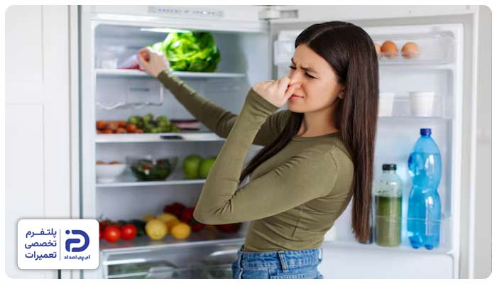 بوی نامطبوع یخچال ایکس ویژن