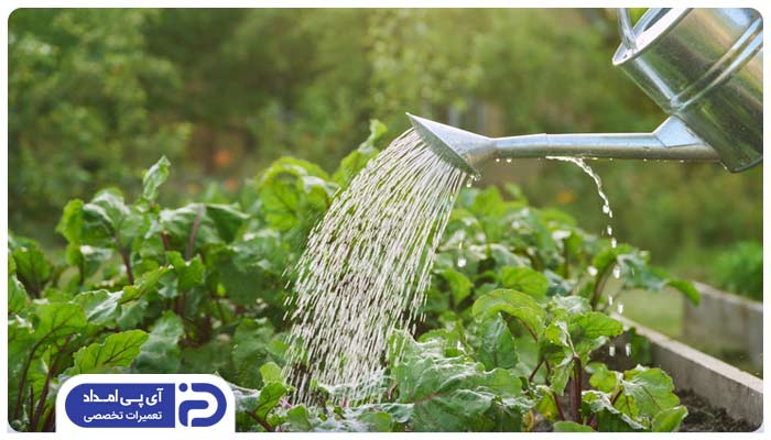 آب کولر گازی برای درختان مناسب است؟