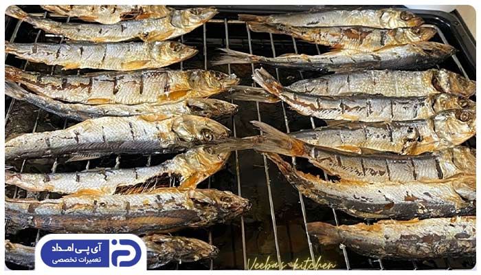 چگونه از خشک شدن ماهی در فر اجاق گاز جلوگیری کنیم