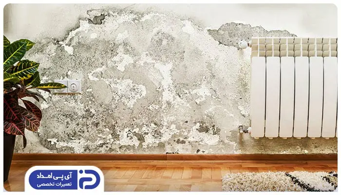 رطوبت بالای محیط