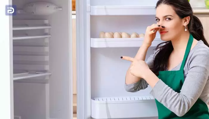 چگونه بوی بد یخچال ناسیونال را از بین ببریم؟