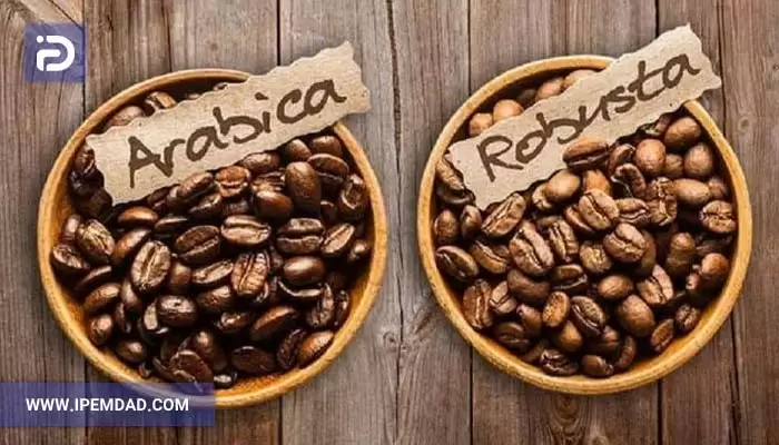 تفاوت قهوه عربیکا و روبوستا