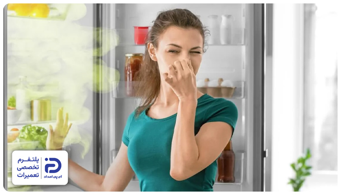 نحوه از بین بردن بوی بد یخچال اسنوا