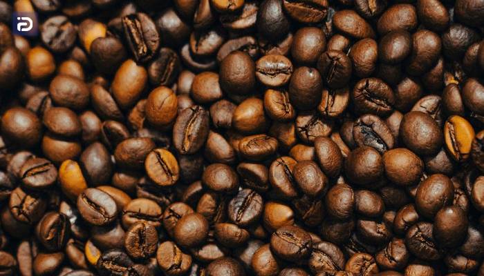 قهوه روبوستا