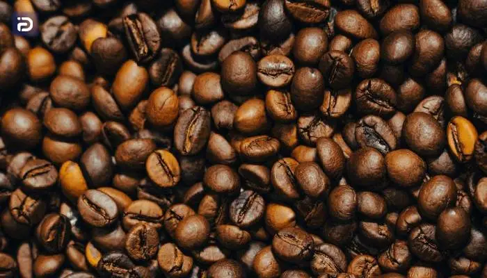 قهوه روبوستا