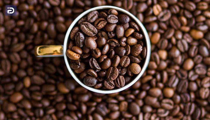 مشخصات ظاهری قهوه عربیکا