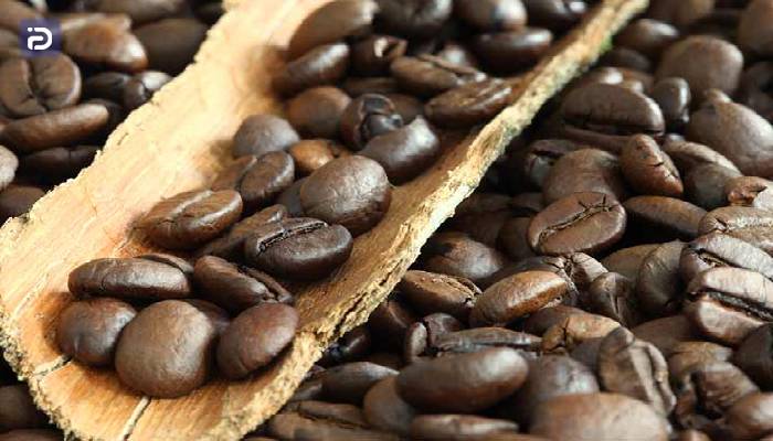 قهوه عربیکا