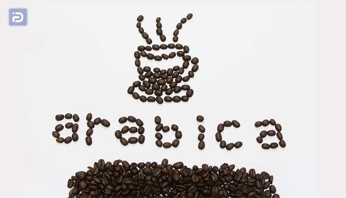 مزایای قهوه عربیکا