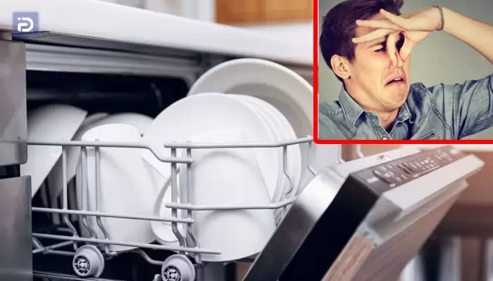 از بین بردن بوی بد درون ظرفشویی یوروپلاس