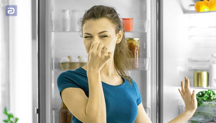 چگونه بوی بد یخچال گرند را از بین ببریم