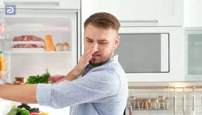 چگونه بوی بد یخچال هیوندای را از بین ببریم؟ 