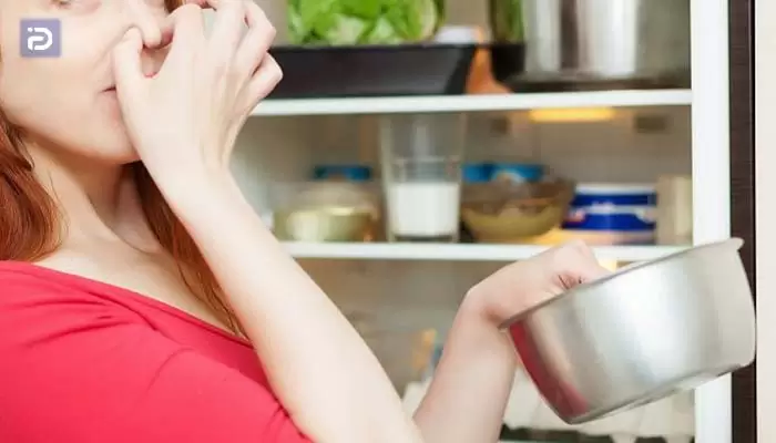 راه های از بین بردن بوی نامطبوع درون یخچال