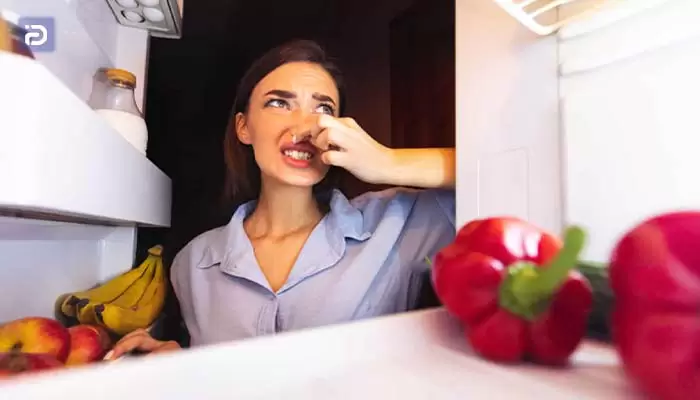 راه های از بین بردن بوی نامطبوع درون یخچال سیلور 