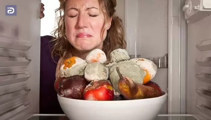 چرا مواد غذایی درون یخچال پاکشوما کپک می زند