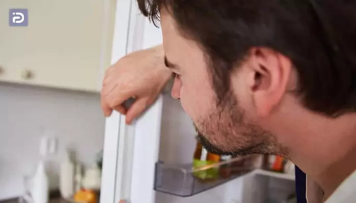 نظافت لاستیک دور درب یخچال سوزان