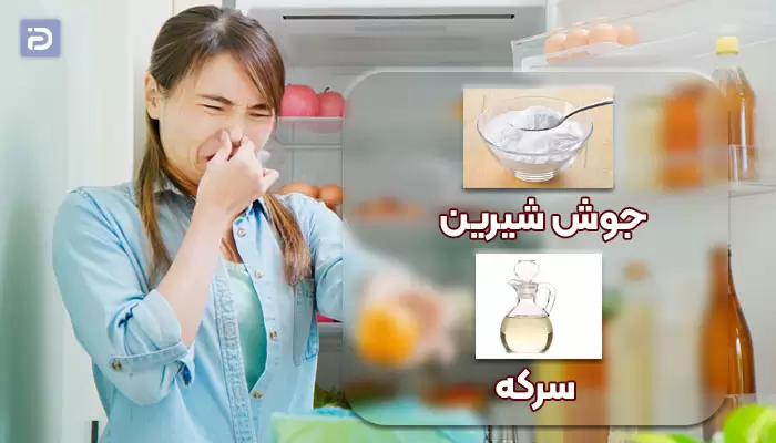 چگونه بوی بد یخچال سوزان را از بین ببریم؟
