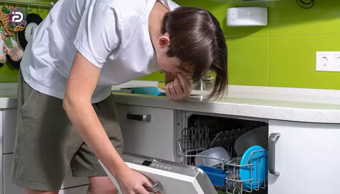 از بین بردن بوی بد درون ظرفشویی توشیبا