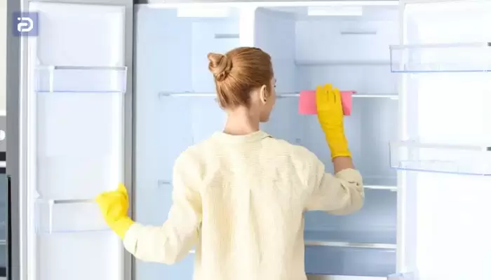 راهنمای تمیز کردن یخچال و فریزر سوزان