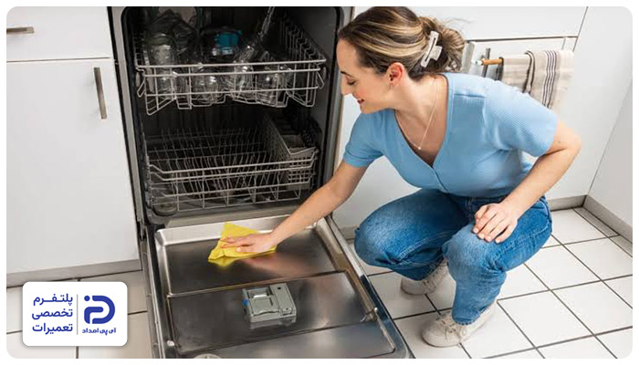 تمیز کردن ظرفشویی الگانس