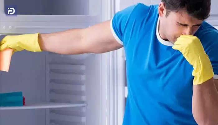 چگونه بوی بد یخچال آیسان را از بین ببریم؟