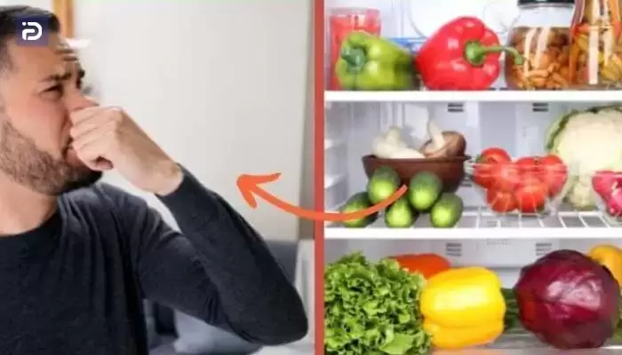 چگونه بوی بد یخچال آذر فراسو را از بین ببریم؟