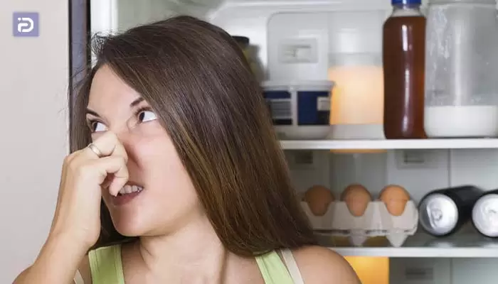 چگونه بوی بد یخچال دیاکو Diaeko را از بین ببریم