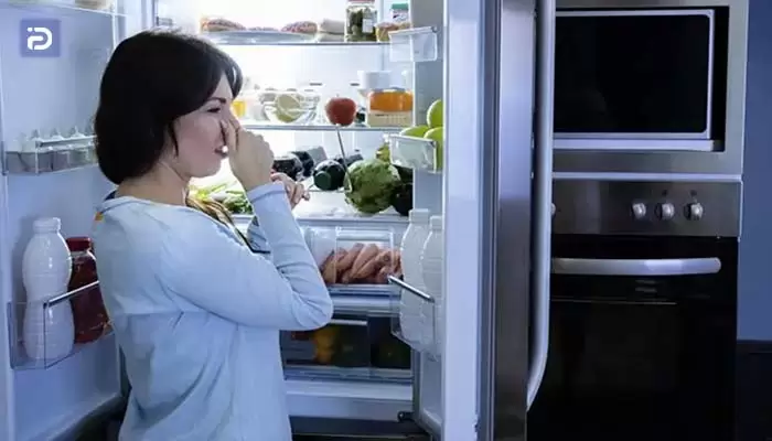 چگونه بوی بد یخچال زیمنس را از بین ببریم