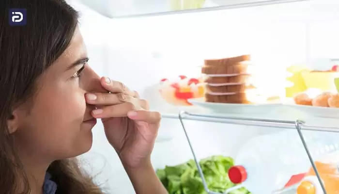 چگونه بوی بد یخچال اکسنت را از بین ببریم
