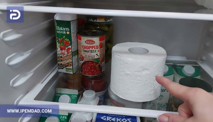 بوگیر طبیعی یخچال با دستمال توالت