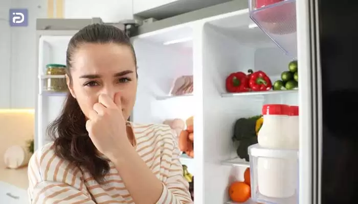 دلایل تغییر طعم غذا در یخچال