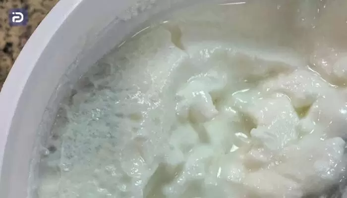 دلایل کپک زدن ماست در یخچال