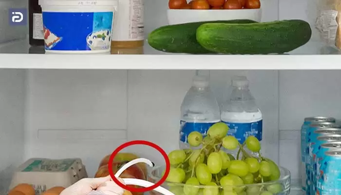 درین چیست؟ چگونه لوله فاضلاب یخچال آیسان تمیز کنیم