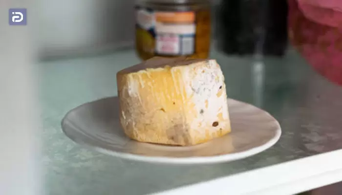 چرا مواد غذایی درون یخچال فروزان کپک می زند 