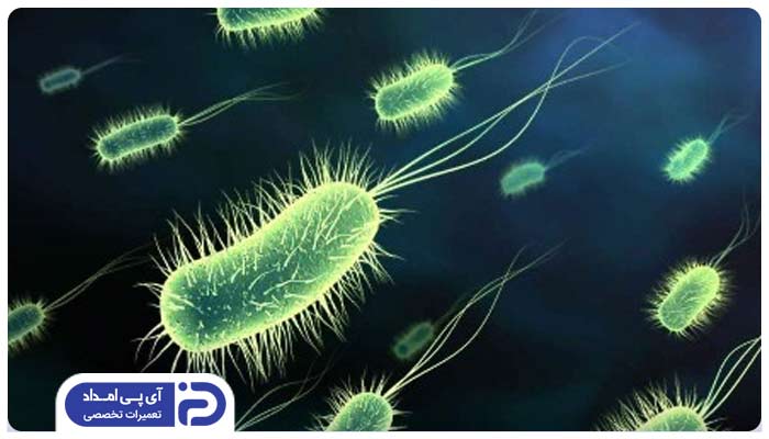 باکتری‌ها و ویروس‌های حساسیت‌زا