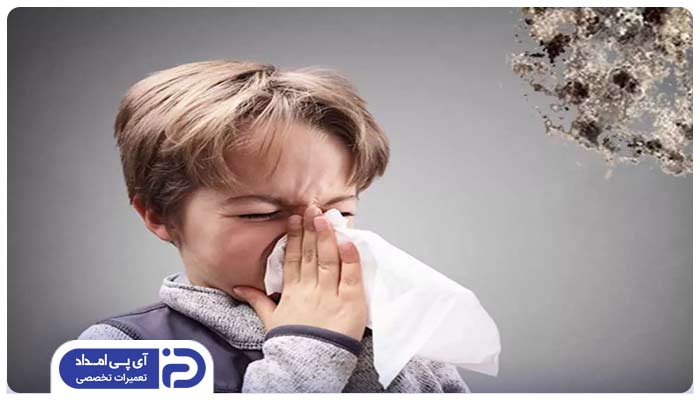 حساسیت به کپک و سفیدک
