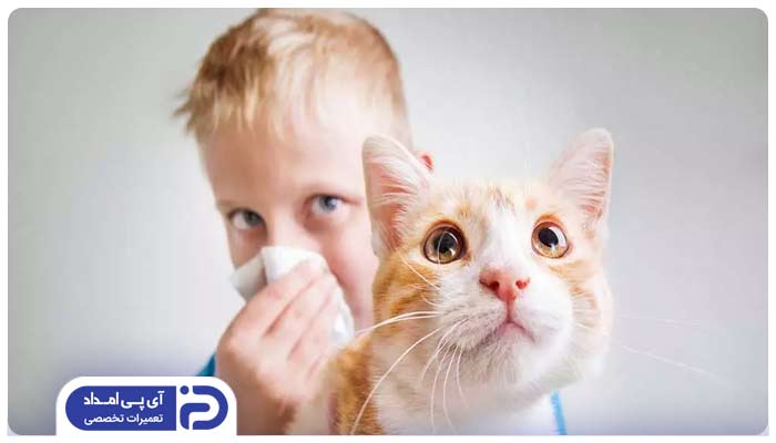 حساسیت به حیوانات خانگی