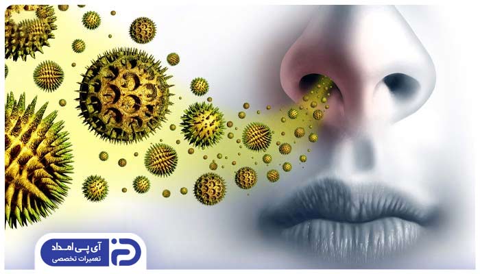 حساسیت به حشرات ریز موجود در هوا
