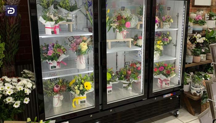 برای نگهداری گل و گیاه در یخچال باید به چه نکاتی توجه کرد؟