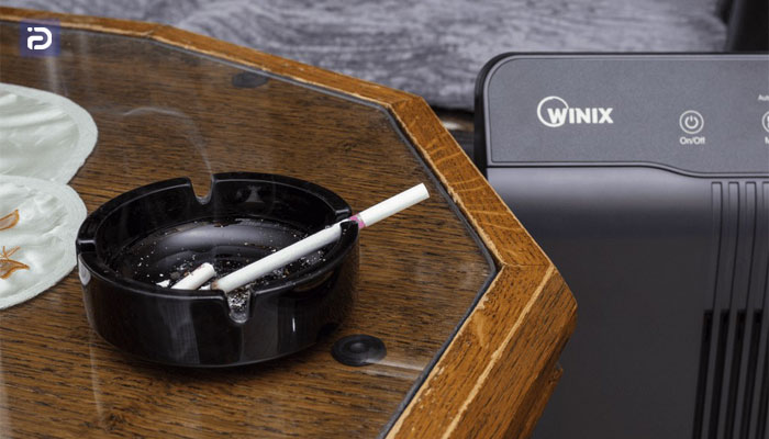 از بین بردن بوی نامطبوع هوا