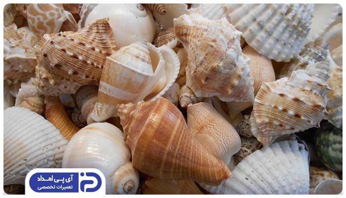 از بین بردن رسوب سماور برقی با فلس صدف